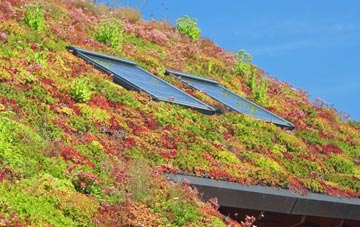 Silverhill living roof systems